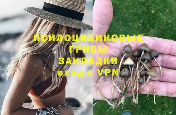 ГАЛЛЮЦИНОГЕННЫЕ ГРИБЫ Богородицк