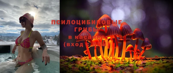 экстази Богородск