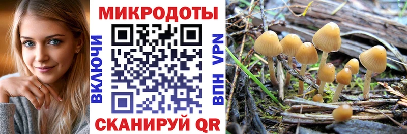 Галлюциногенные грибы Cubensis  Певек 